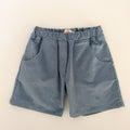 Summer Storm Shorts