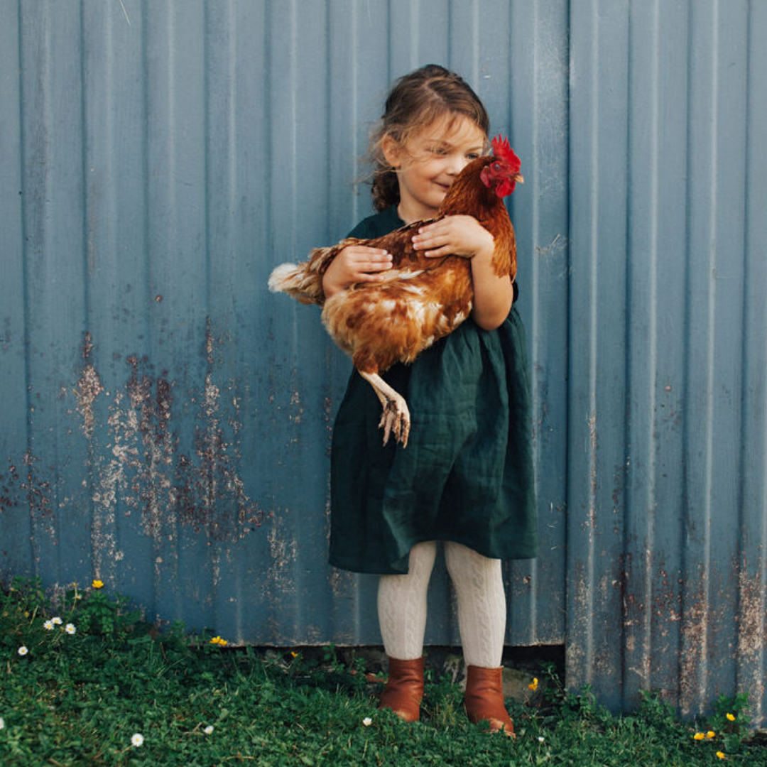 Lamington Merino Tights in Oatmeal